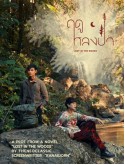 st2385 : ละครไทย ฤดูหลงป่า Lost in the Woods (2025) DVD 2 แผ่น