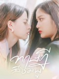 st2393 : ละครไทย ทฤษฎีสีชมพู GAP The series (2023) DVD 3 แผ่น
