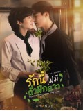 st2395 : ละครไทย รักนี้ไม่มีถั่วฝักยาว This Love Doesn't Have Long Beans DVD 2 แผ่น