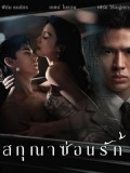 st2413 : ละครไทย สกุณาซ่อนรัก Whisper of Desire DVD 2 แผ่น