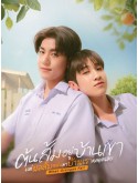 st2457 : ละครไทย ต้นส้มอยู่บ้านเขา แต่ผลส้มหล่นมาบ้านเราตลอดเลย When Oranges Fall (2569) DVD 3 แผ่น