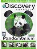 ft058:สารคดี Discovery Channel Pandamonium แพนด้าหมีน้อยตัวอ้วน  2 แผ่นจบ