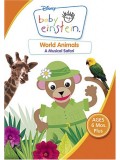 ft062 :Baby Einstein  25  แผ่น