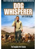 ft074 : สารคดี  The Dog Whisperer  10  แผ่น