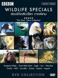 ft091 :สารคดี BBC : Wildlife Specials 3  แผ่นจบ