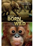 ft097 : สารคดี IMAX: Born To Be Wild มหัศจรรย์ชีวิตป่า  DVD Master 1 แผ่นจบ