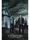 se1119: ซีรีย์ฝรั่ง  Supernatural Season 9ล่าปริศนาเหนือโลก ปี 9 [ซับไทย]  6 แผ่นจบ