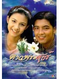 st0042 : ละครไทย ดาวพระศุกร์ ( ศรราม+กบ) 6 แผ่นจบ