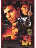 E040 : หนังฝรั่ง From Dusk Till Dawn 1 DVD 1 แผ่น