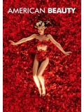 EE0163 : American Beauty อเมริกัน บิวตี้ DVD 1 แผ่น