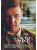 EE1733: A Beautiful Mind สมการชีวิต พิชิตด้วยใจ DVD 1 แผ่น