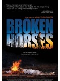 EE1773 : Broken Horses เส้นทางโหด สายเลือดระห่ำ DVD 1 แผ่น