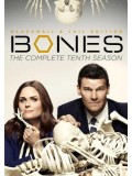 se1339 : ซีรีย์ฝรั่ง Bones Season 10 [พากย์ไทย] 5 แผ่น