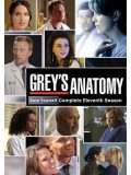 se1370 : ซีรีย์ฝรั่ง Grey s Anatomy Season 11 [ซับไทย] 6 แผ่น