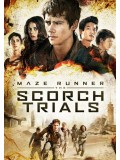 EE1884 : Maze Runner 2: The Scorch Trials DVD 1 แผ่น