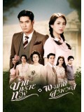 st1217 : บ้านทรายทอง 2558 DVD 6 แผ่น