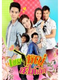 st1218 : เขยใหญ่ สะใภ้เล็ก DVD 6 แผ่น