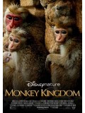 ft128 : สารคดี Monkey Kingdom อาณาจักรลิง จากป่าไม้สู่ป่าเมือง [ซับไทย] DVD 1 แผ่น