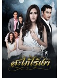 st1245 : สะใภ้ไร้เงา DVD 5 แผ่น