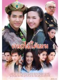 st1250 : ดอกไม้ใต้เมฆ DVD 5 แผ่น