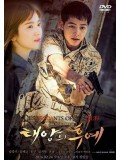 krr1369 : ซีรีย์เกาหลี Descendants Of The Sun (ซับไทย) 4 แผ่น