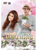 st1273 : บุษบาเร่ฝัน DVD 4 แผ่น