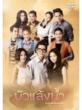 st1276 : บัวแล้งน้ำ 2559 DVD 4 แผ่น