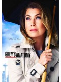 se1494 : ซีรีย์ฝรั่ง Grey s Anatomy Season 12 [ซับไทย] 6 แผ่น