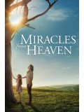EE2051 : Miracles From Heaven ปาฏิหาริย์จากสวรรค์ DVD 1 แผ่น