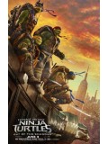 EE2111 : Teenage Mutant Ninja Turtles: Out of the Shadows / เต่านินจา : จากเงาสู่ฮีโร่ DVD 1 แผ่น