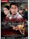 st1331 : พิษสวาท DVD 5 แผ่น