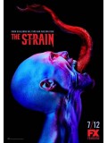 se1568 : ซีรีย์ฝรั่ง The Strain Season 2 (ซับไทย) 3 แผ่น