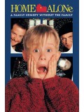 EE2229 : Home Alone 1 / โดดเดี่ยวผู้น่ารัก ภาค 1 DVD 1 แผ่น