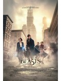 EE2328 : Fantastic: Beasts And Where To Find Them สัตว์มหัศจรรย์และถิ่นที่อยู่ DVD 1 แผ่น