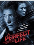 EE2339 : A Perfect Life พิศวาสสีเลือด DVD 1 แผ่น