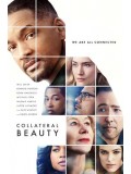 EE2346 : Collateral Beauty คอลแลทเทอรัล บิวตี้ โอกาสใหม่หนสอง DVD 1 แผ่น
