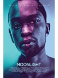 EE2362 : Moonlight มูนไลท์ DVD 1 แผ่น