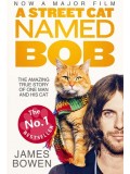 EE2382 : A Street Cat Named Bob บ๊อบ แมว เพื่อน คน DVD 1 แผ่น