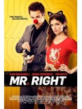 EE2410 : Mr. Right คู่มหาประลัย นักฆ่าเลิฟ เลิฟ DVD 1 แผ่น