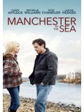 EE2415 : Manchester By The Sea แค่...ใครสักคน DVD 1 แผ่น
