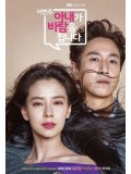 krr1433 : ซีรีย์เกาหลี My Wife s Having an Affair This Week (ซับไทย) 3 แผ่น