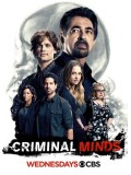 se1632 : ซีรีย์ฝรั่ง Criminal Minds Season 12 (ซับไทย) 5 แผ่น