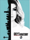 se1637 : ซีรีย์ฝรั่ง Grey s Anatomy Season 13 (ซับไทย) 5 แผ่น