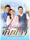 st1363 : ชื่นชีวา DVD 5 แผ่น