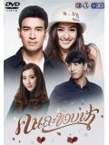 st1372 : คนละขอบฟ้า DVD 4 แผ่น