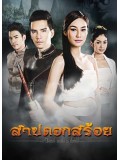 st1379 : สาปดอกสร้อย DVD 5 แผ่น