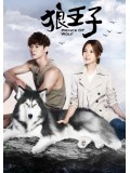 TW218 : ซีรีย์ไต้หวัน Prince Of Wolf (ซับไทย) 5 แผ่น