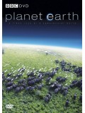ft040 :สารคดี Planet Earth ปฐพีชีวิต [DVDMASTER] 5 แผ่น 