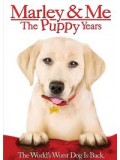E414 : จอมป่วนหน้าซื่อ 2 ปีทองน้องหมาตัวกวน DVD Master 1 แผ่นจบ