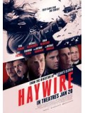 E572 : Haywire เธอแรงหยุดโลก DVD Master 1 แผ่นจบ